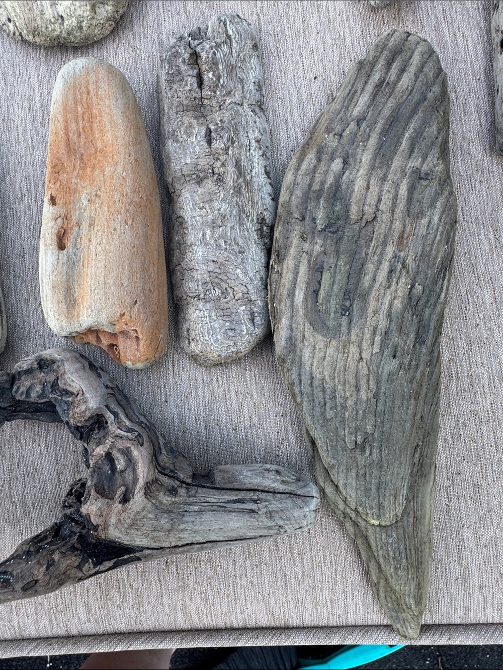 20 Pacific Beach Natural Driftwood Collection - Assorted Beach Wood Pieces - Picture 8 of 10